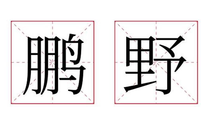 鹏野名字寓意,鹏野名字的含义